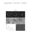 IMPLANTABLE MODULAR HYDROGEL FOR SALIVARY GLAND RESTORATION diagram and image