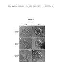 IMPLANTABLE MODULAR HYDROGEL FOR SALIVARY GLAND RESTORATION diagram and image