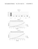 STABLE NANOCOMPOSITION COMPRISING PACLITAXEL, PROCESS FOR THE PREPARATION     THEREOF, ITS USE AND PHARMACEUTICAL COMPOSITIONS CONTAINING IT diagram and image