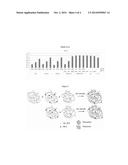 STABLE NANOCOMPOSITION COMPRISING PACLITAXEL, PROCESS FOR THE PREPARATION     THEREOF, ITS USE AND PHARMACEUTICAL COMPOSITIONS CONTAINING IT diagram and image