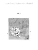 CANCER CELL-INHIBITING CERAMIC, PROCESS FOR PRODUCING CANCER     CELL-INHIBITING CERAMIC, METHOD FOR TREATING BONE TUMOR, AND USE OF     BETA-TRICALCIUM PHOSPHATE POROUS GRANULES WITH PARTICLE SIZE OF 1 TO 10     MICROMETER diagram and image