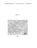 CANCER CELL-INHIBITING CERAMIC, PROCESS FOR PRODUCING CANCER     CELL-INHIBITING CERAMIC, METHOD FOR TREATING BONE TUMOR, AND USE OF     BETA-TRICALCIUM PHOSPHATE POROUS GRANULES WITH PARTICLE SIZE OF 1 TO 10     MICROMETER diagram and image