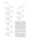 PHARMACEUTICAL COMPOSITIONS OF HYDROPHOBIC CAMPTOTHECIN DERIVATIVES diagram and image