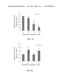 METHODS AND PHARMACEUTICAL COMPOSITIONS FOR REGULATION OF G- AND/OR     GC-RICH NUCLEIC ACID EXPRESSION diagram and image