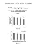 METHODS AND PHARMACEUTICAL COMPOSITIONS FOR REGULATION OF G- AND/OR     GC-RICH NUCLEIC ACID EXPRESSION diagram and image