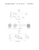 STABLE NANOCOMPOSITION COMPRISING DOXORUBICIN, PROCESS FOR THE PREPARATION     THEREOF, ITS USE AND PHARMACEUTICAL COMPOSITIONS CONTAINING IT diagram and image