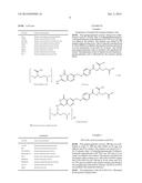 STABLE NANOCOMPOSITION COMPRISING DOXORUBICIN, PROCESS FOR THE PREPARATION     THEREOF, ITS USE AND PHARMACEUTICAL COMPOSITIONS CONTAINING IT diagram and image