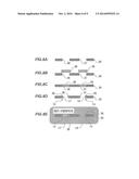 ELECTRODE TERMINAL CONNECTION BODY AND MANUFACTURING METHOD OF THE SAME diagram and image