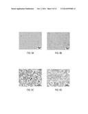 CERAMIC ELECTROLYTE MATERIAL COMPRISING A MODIFIED POLYCRYSTALLINE LITHIUM     METAL PHOSPHATE diagram and image