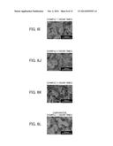 ELECTRODE AND MANUFACTURING METHOD THEREOF diagram and image