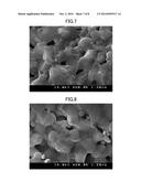 SOLID OXIDE FUEL CELL AND METHOD FOR PRODUCING THE SAME diagram and image