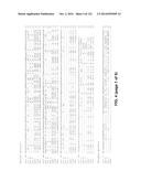 METAPNEUMOVIRUS STRAINS AND THEIR USE IN VACCINE FORMULATIONS AND AS     VECTORS FOR EXPRESSION OF ANTIGENIC SEQUENCES diagram and image