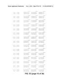 METAPNEUMOVIRUS STRAINS AND THEIR USE IN VACCINE FORMULATIONS AND AS     VECTORS FOR EXPRESSION OF ANTIGENIC SEQUENCES diagram and image