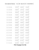 METAPNEUMOVIRUS STRAINS AND THEIR USE IN VACCINE FORMULATIONS AND AS     VECTORS FOR EXPRESSION OF ANTIGENIC SEQUENCES diagram and image