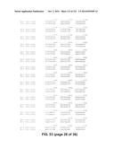 METAPNEUMOVIRUS STRAINS AND THEIR USE IN VACCINE FORMULATIONS AND AS     VECTORS FOR EXPRESSION OF ANTIGENIC SEQUENCES diagram and image