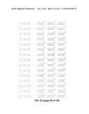 METAPNEUMOVIRUS STRAINS AND THEIR USE IN VACCINE FORMULATIONS AND AS     VECTORS FOR EXPRESSION OF ANTIGENIC SEQUENCES diagram and image