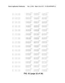 METAPNEUMOVIRUS STRAINS AND THEIR USE IN VACCINE FORMULATIONS AND AS     VECTORS FOR EXPRESSION OF ANTIGENIC SEQUENCES diagram and image