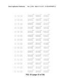 METAPNEUMOVIRUS STRAINS AND THEIR USE IN VACCINE FORMULATIONS AND AS     VECTORS FOR EXPRESSION OF ANTIGENIC SEQUENCES diagram and image