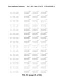 METAPNEUMOVIRUS STRAINS AND THEIR USE IN VACCINE FORMULATIONS AND AS     VECTORS FOR EXPRESSION OF ANTIGENIC SEQUENCES diagram and image