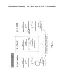 METAPNEUMOVIRUS STRAINS AND THEIR USE IN VACCINE FORMULATIONS AND AS     VECTORS FOR EXPRESSION OF ANTIGENIC SEQUENCES diagram and image