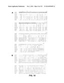 METAPNEUMOVIRUS STRAINS AND THEIR USE IN VACCINE FORMULATIONS AND AS     VECTORS FOR EXPRESSION OF ANTIGENIC SEQUENCES diagram and image