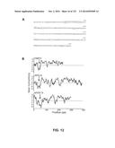 METAPNEUMOVIRUS STRAINS AND THEIR USE IN VACCINE FORMULATIONS AND AS     VECTORS FOR EXPRESSION OF ANTIGENIC SEQUENCES diagram and image