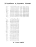 METAPNEUMOVIRUS STRAINS AND THEIR USE IN VACCINE FORMULATIONS AND AS     VECTORS FOR EXPRESSION OF ANTIGENIC SEQUENCES diagram and image