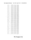 METAPNEUMOVIRUS STRAINS AND THEIR USE IN VACCINE FORMULATIONS AND AS     VECTORS FOR EXPRESSION OF ANTIGENIC SEQUENCES diagram and image