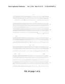 METAPNEUMOVIRUS STRAINS AND THEIR USE IN VACCINE FORMULATIONS AND AS     VECTORS FOR EXPRESSION OF ANTIGENIC SEQUENCES diagram and image