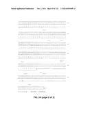 METAPNEUMOVIRUS STRAINS AND THEIR USE IN VACCINE FORMULATIONS AND AS     VECTORS FOR EXPRESSION OF ANTIGENIC SEQUENCES diagram and image