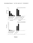 METAPNEUMOVIRUS STRAINS AND THEIR USE IN VACCINE FORMULATIONS AND AS     VECTORS FOR EXPRESSION OF ANTIGENIC SEQUENCES diagram and image