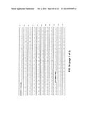 METAPNEUMOVIRUS STRAINS AND THEIR USE IN VACCINE FORMULATIONS AND AS     VECTORS FOR EXPRESSION OF ANTIGENIC SEQUENCES diagram and image