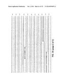 METAPNEUMOVIRUS STRAINS AND THEIR USE IN VACCINE FORMULATIONS AND AS     VECTORS FOR EXPRESSION OF ANTIGENIC SEQUENCES diagram and image