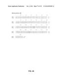 METAPNEUMOVIRUS STRAINS AND THEIR USE IN VACCINE FORMULATIONS AND AS     VECTORS FOR EXPRESSION OF ANTIGENIC SEQUENCES diagram and image