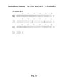 METAPNEUMOVIRUS STRAINS AND THEIR USE IN VACCINE FORMULATIONS AND AS     VECTORS FOR EXPRESSION OF ANTIGENIC SEQUENCES diagram and image