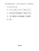 METAPNEUMOVIRUS STRAINS AND THEIR USE IN VACCINE FORMULATIONS AND AS     VECTORS FOR EXPRESSION OF ANTIGENIC SEQUENCES diagram and image