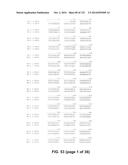 METAPNEUMOVIRUS STRAINS AND THEIR USE IN VACCINE FORMULATIONS AND AS     VECTORS FOR EXPRESSION OF ANTIGENIC SEQUENCES diagram and image