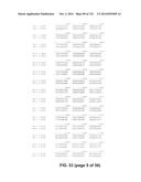 METAPNEUMOVIRUS STRAINS AND THEIR USE IN VACCINE FORMULATIONS AND AS     VECTORS FOR EXPRESSION OF ANTIGENIC SEQUENCES diagram and image