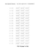 METAPNEUMOVIRUS STRAINS AND THEIR USE IN VACCINE FORMULATIONS AND AS     VECTORS FOR EXPRESSION OF ANTIGENIC SEQUENCES diagram and image