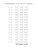 METAPNEUMOVIRUS STRAINS AND THEIR USE IN VACCINE FORMULATIONS AND AS     VECTORS FOR EXPRESSION OF ANTIGENIC SEQUENCES diagram and image