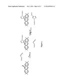 METHODS AND COMPOSITIONS FOR LABELING NUCLEIC ACIDS diagram and image