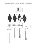 LOW COST, DISPOSABLE MOLECULAR DIAGNOSTIC DEVICES diagram and image