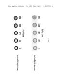 LOW COST, DISPOSABLE MOLECULAR DIAGNOSTIC DEVICES diagram and image