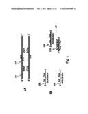 Nucleic Acid Amplification diagram and image