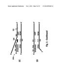 Nucleic Acid Amplification diagram and image