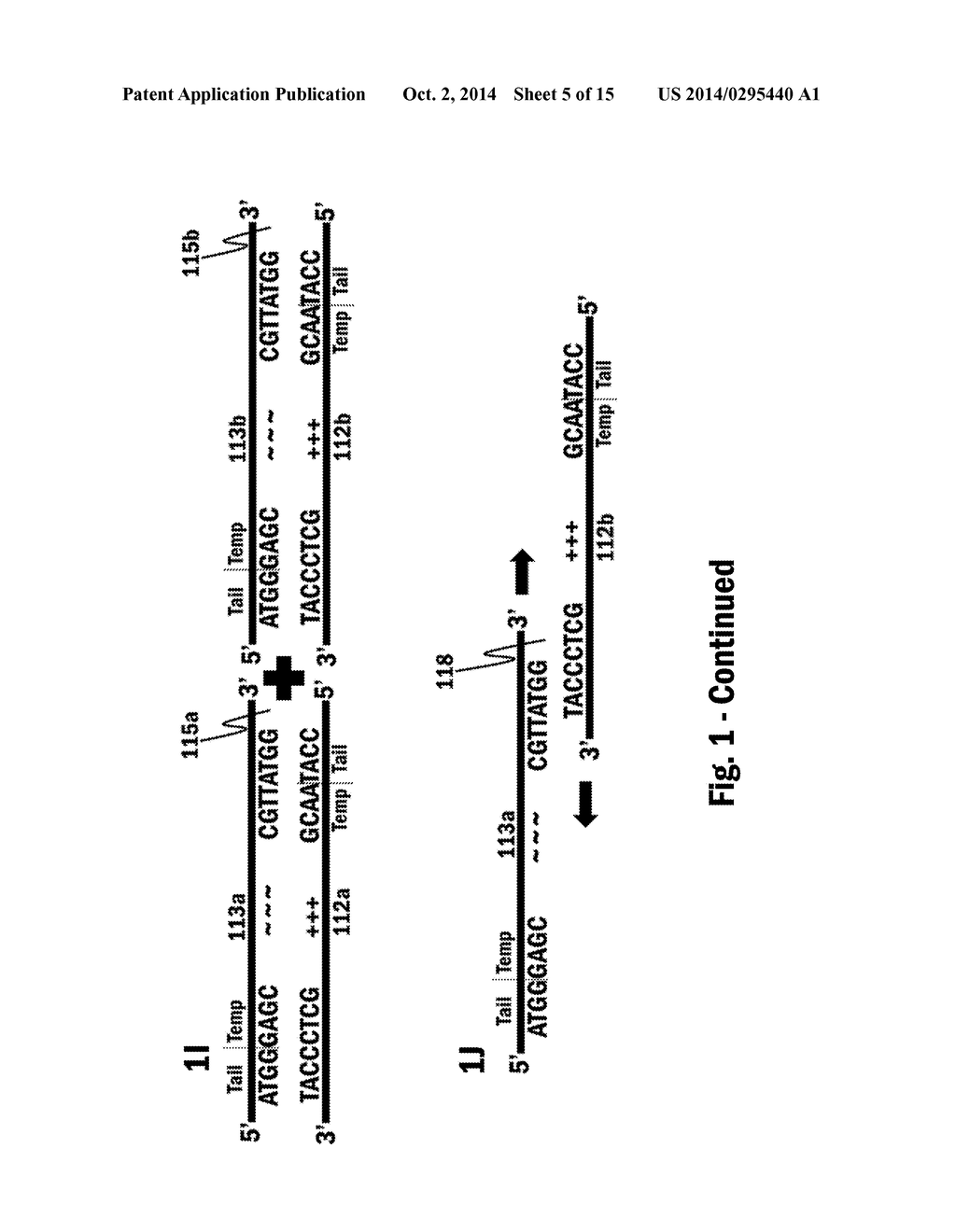 Nucleic Acid Amplification - diagram, schematic, and image 06