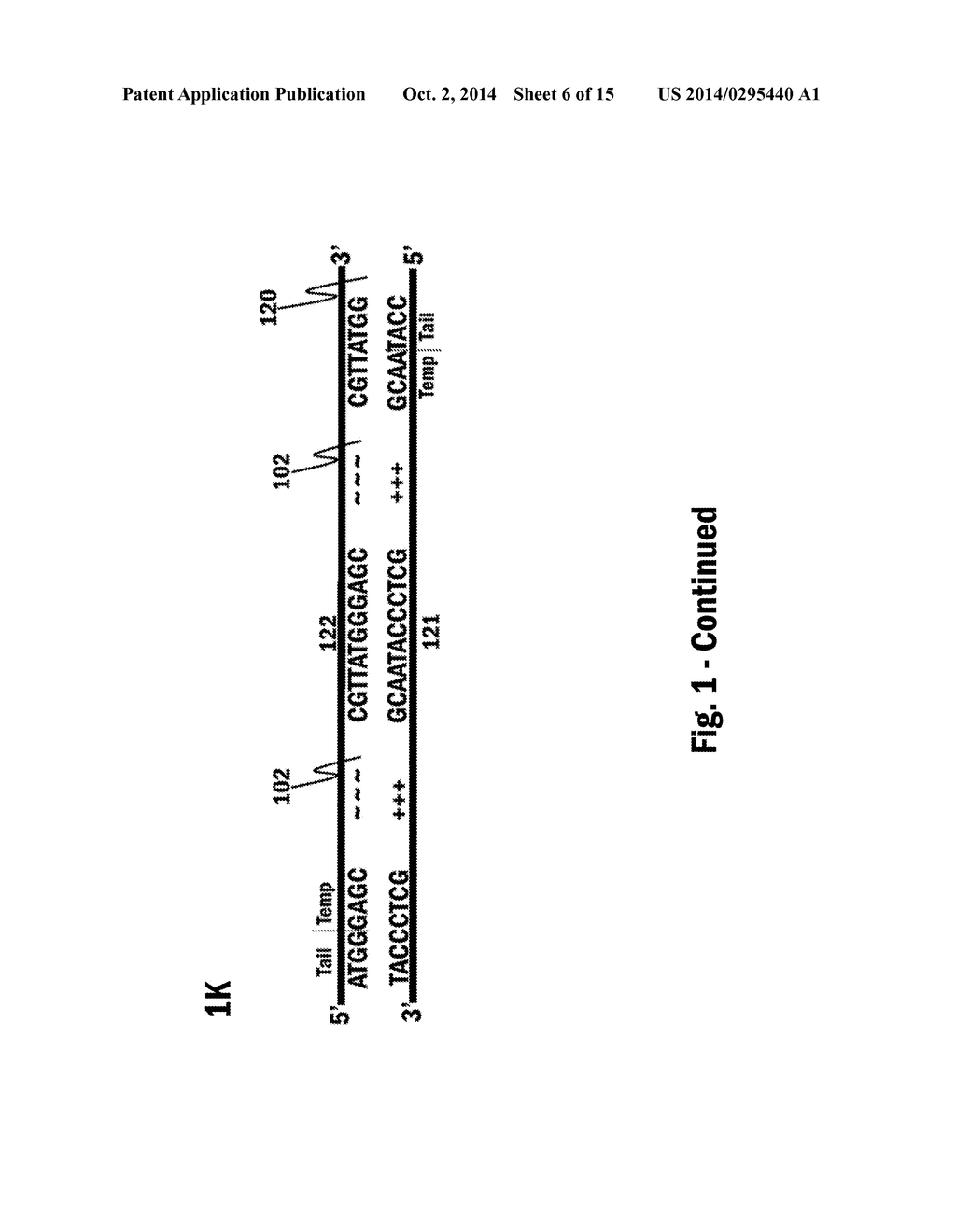 Nucleic Acid Amplification - diagram, schematic, and image 07