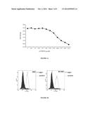 ANTI-CMET ANTIBODY AND ITS USE FOR THE DETECTION AND THE DIAGNOSIS OF     CANCER diagram and image