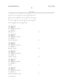 ANTI-CMET ANTIBODY AND ITS USE FOR THE DETECTION AND THE DIAGNOSIS OF     CANCER diagram and image