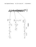 MOLECULAR FLUX RATES THROUGH CRITICAL PATHWAYS MEASURED BY STABLE ISOTOPE     LABELING IN VIVO, AS BIOMARKERS OF DRUG ACTION AND DISEASE ACTIVITY diagram and image